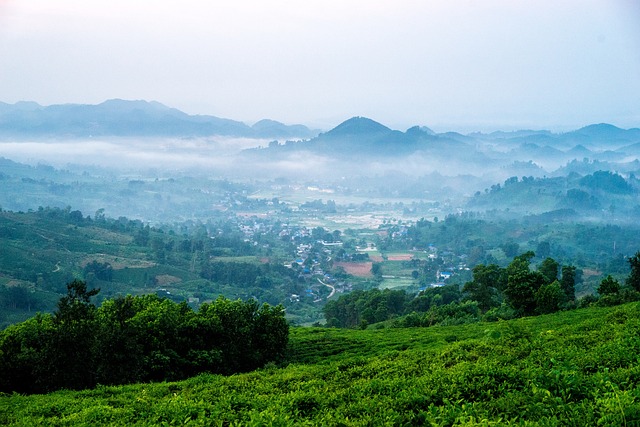 Free Tea Cloud photo and picture