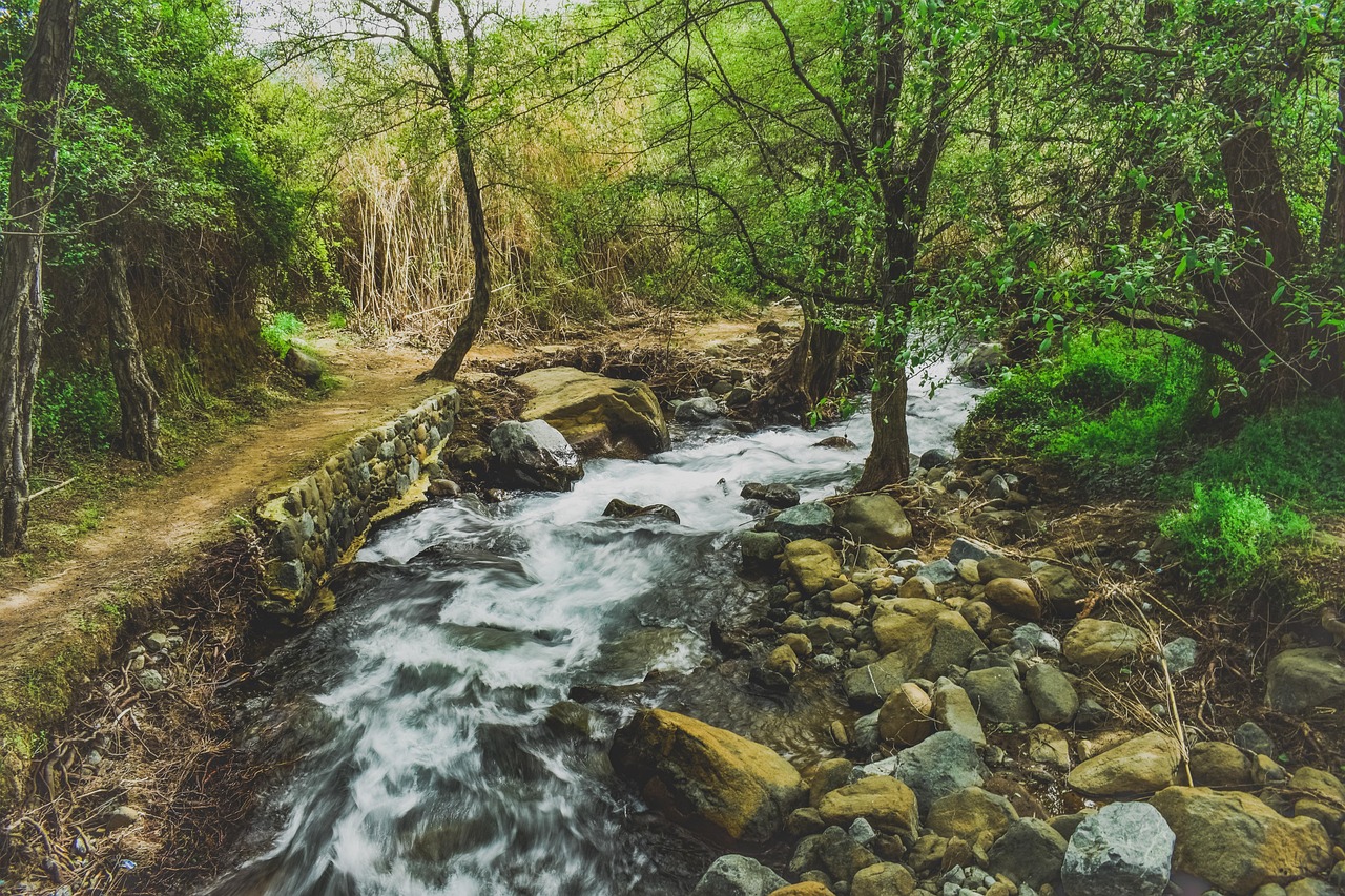 溪 风景秀丽的 自然 - Pixabay上的免费照片 - Pixabay