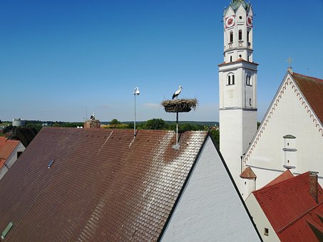 Storch, Storchennest, Nest