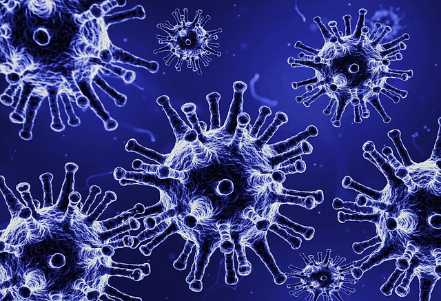 Free corona coronavirus covid illustration