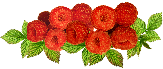 Free fruit raspberries ripe illustration
