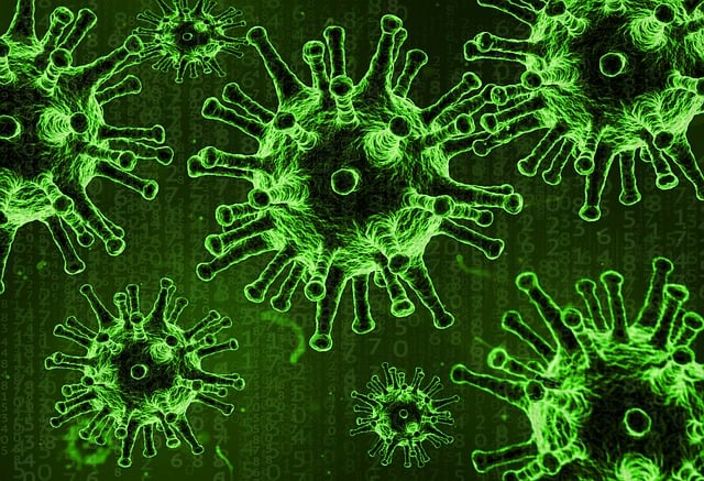 Free corona coronavirus covid illustration
