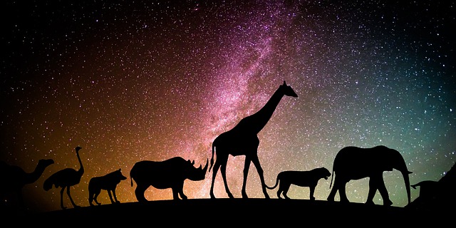 Free animal milky way galaxy illustration