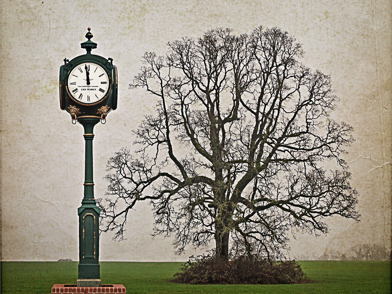 Clock Tree Field Free photo on Pixabay Pixabay
