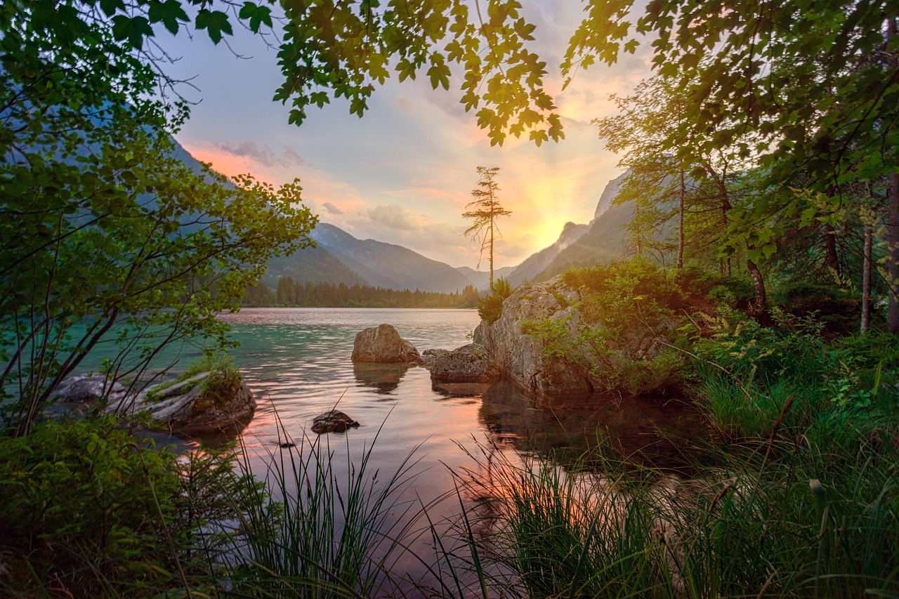 Emosjonelle Bilder Av Naturen Kunstens Helsebringende Effekt Emosjonelle Bilder Av Naturen Kunstens Helsebringende Effekt