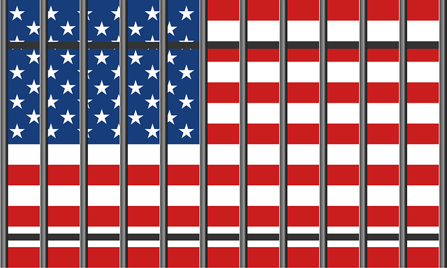 Free usa america grille illustration