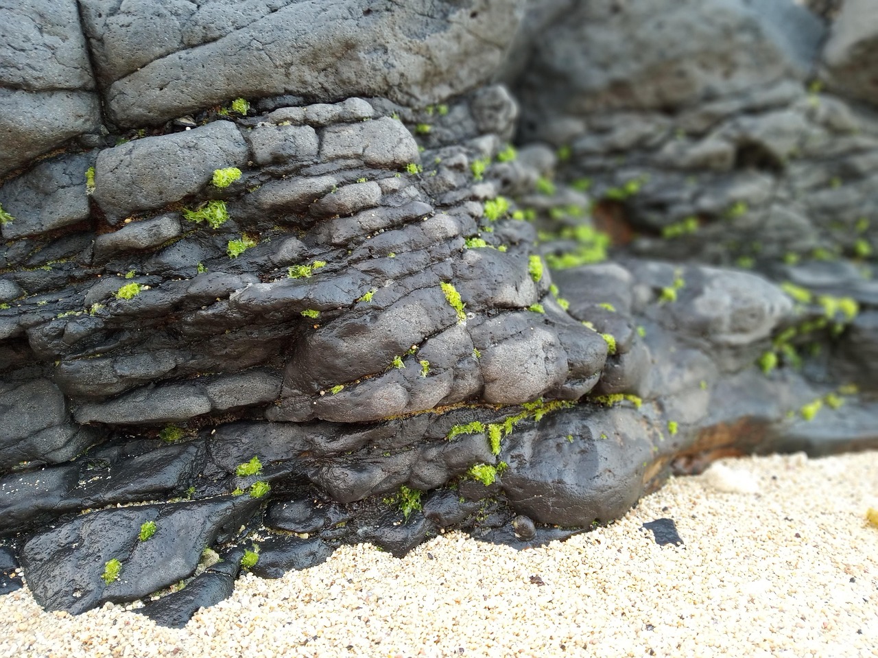 Rock Algae Sand - Free photo on Pixabay - Pixabay