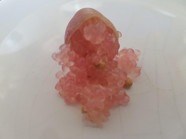 Free Citrus Caviar photo and picture