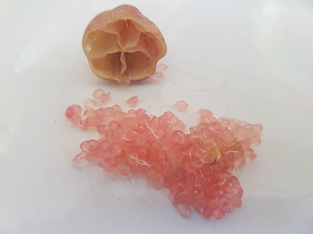 Free Citrus Caviar photo and picture