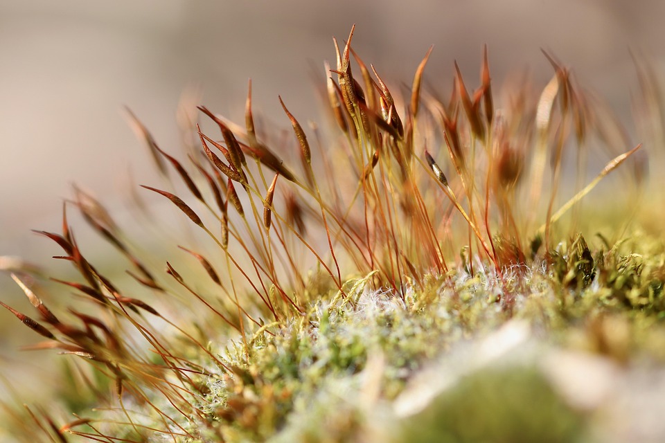 Understanding The Link Can A Tooth Infection Cause Hair Loss The