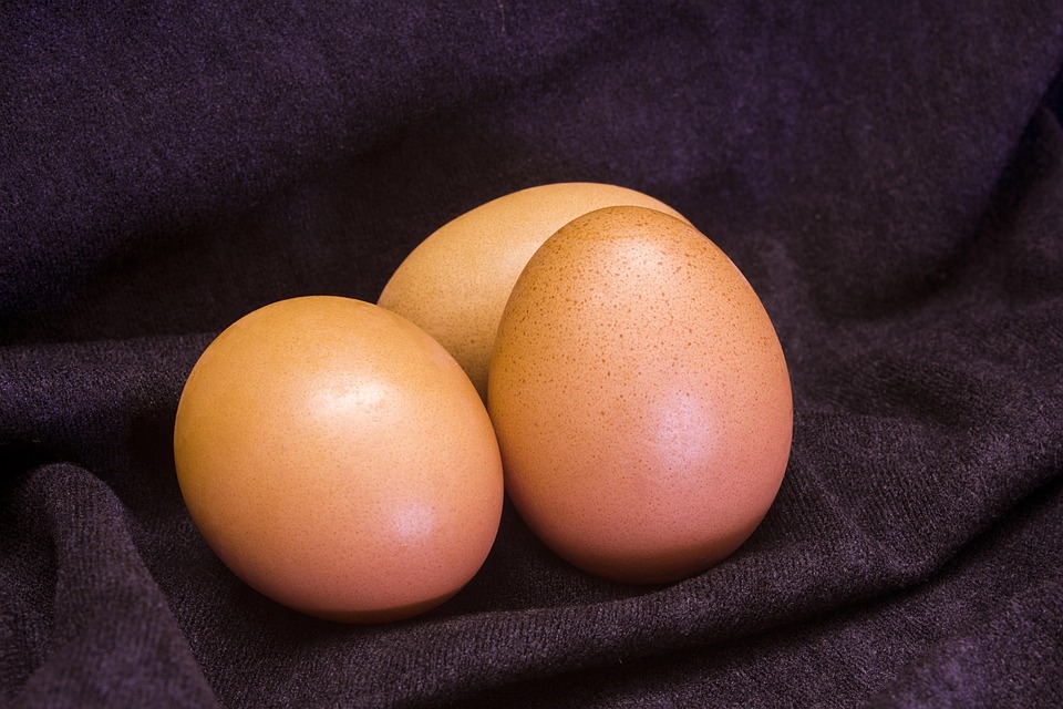 Eggs Passover Easter Free photo on Pixabay Pixabay