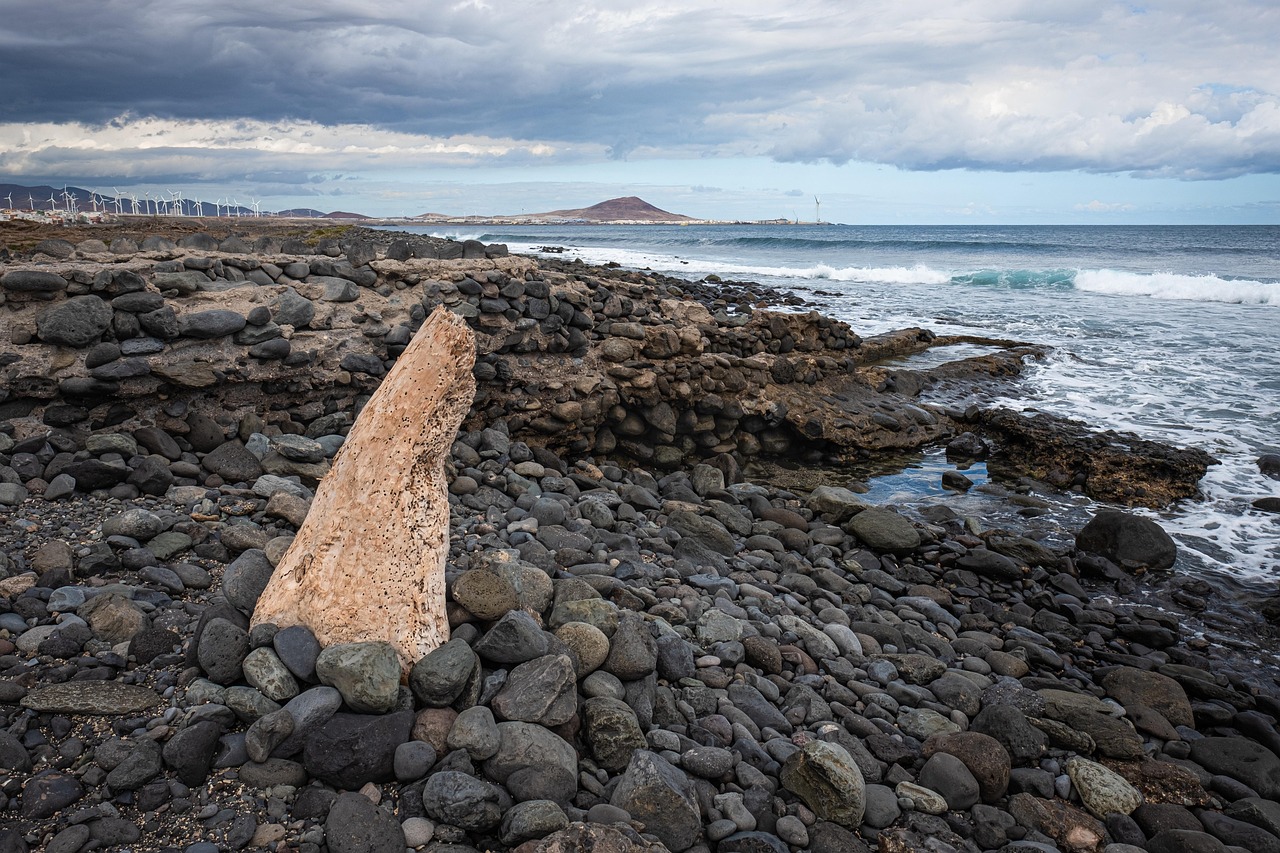 Coast - free online jigsaw puzzle photo