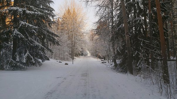 Winter, Schnee, Straße