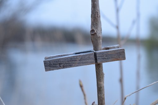 Free Gripper River photo and picture