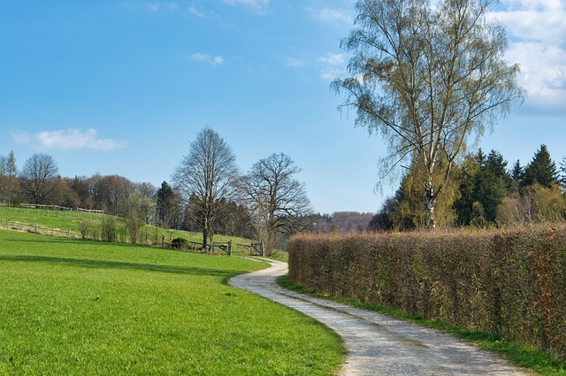 30,000+ Free Spring Hike & Spring Images - Pixabay