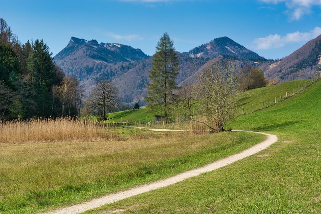 40,000+ Free Spring Hike & Spring Images - Pixabay