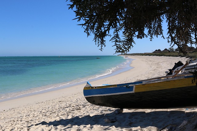 Free Beach Sea photo and picture