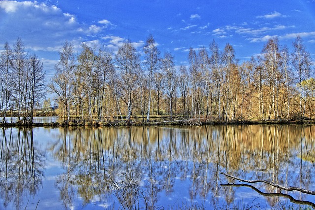 Free Lake Water photo and picture