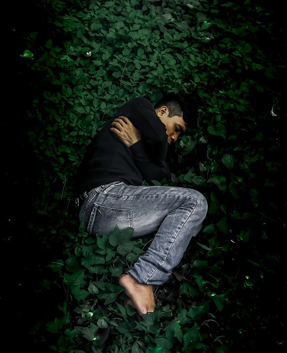 爱德华和雅各布的命运三角恋