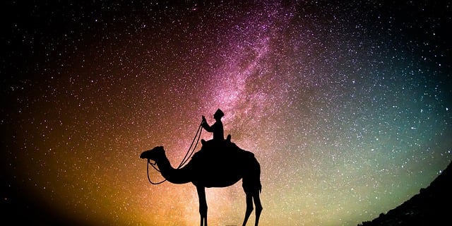 Free muslim islam camel illustration