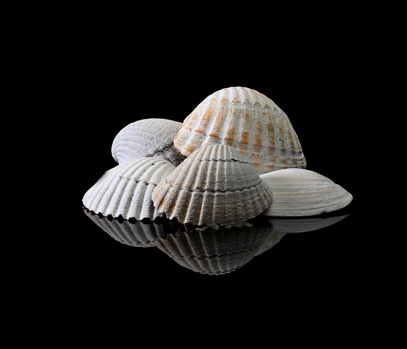 Download Billeder af strand part dekorationer HD Billeder Af Strand Part Dekorationer