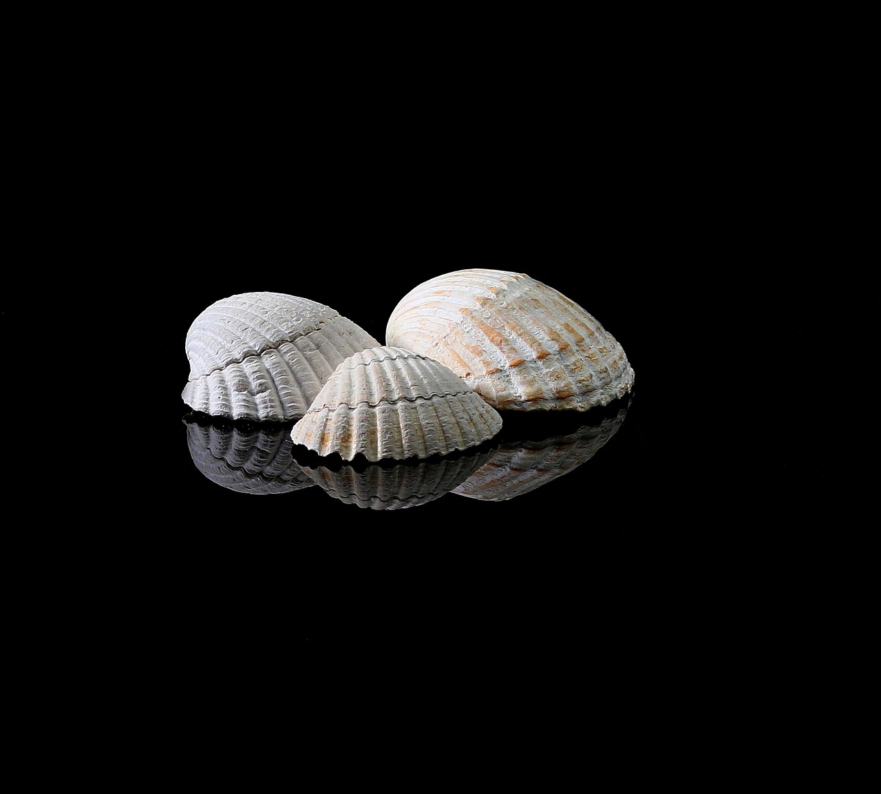Download Tropisk strand part dekorationer Desktop Wallpaper Tropisk Strand Part Dekorationer