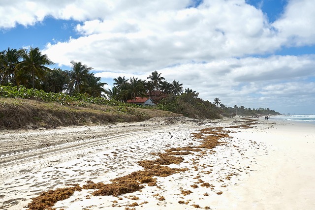 Cuba, Doca Seca, Praia, Querida, Areia