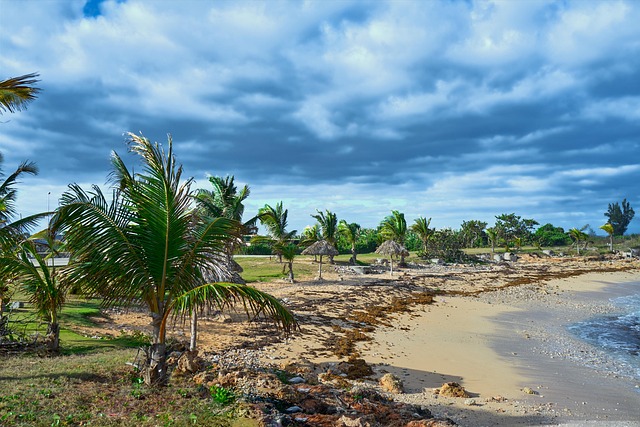 Cuba, Boca Camarioca, Praia, Querida