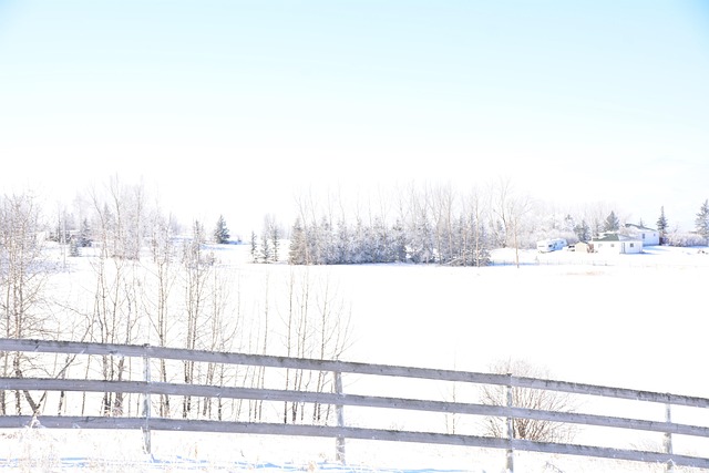 Free Alberta Fence photo and picture