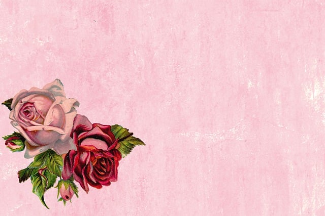 Free bloom flower blossom illustration