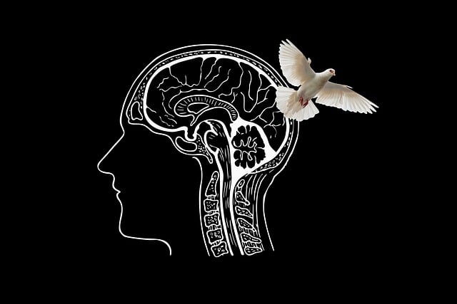 Free head brain dove illustration