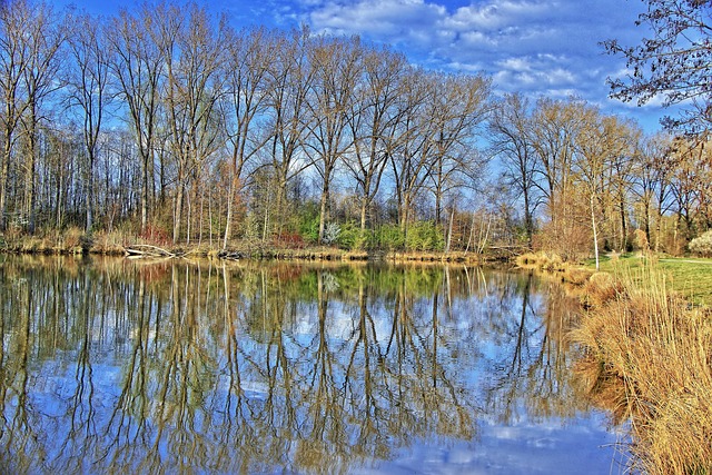 Free Lake Water photo and picture