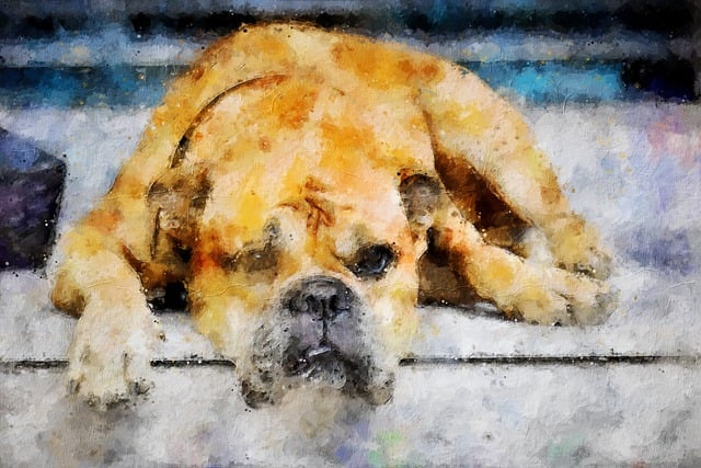 Gemälde, Tier, Digitale Gemälde, Hund