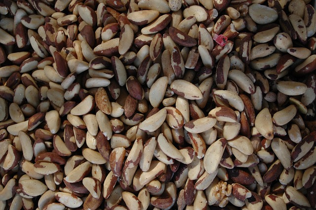Free Nuts Spain photo and picture