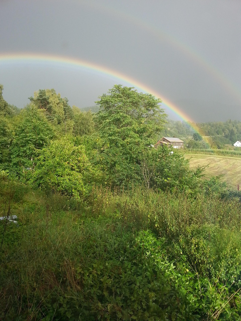 Des Arbres Double Arc En Ciel - Photo gratuite sur Pixabay - Pixabay