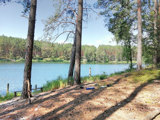 Free Picnic Lake photo and picture