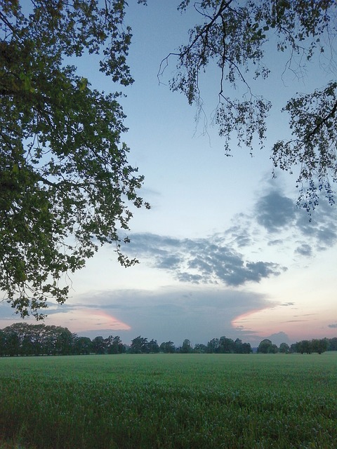 Free Sky Sunset photo and picture