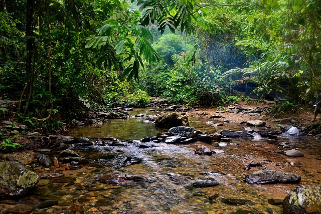 At Rejse, Rejse, Indonesien, Sumatra