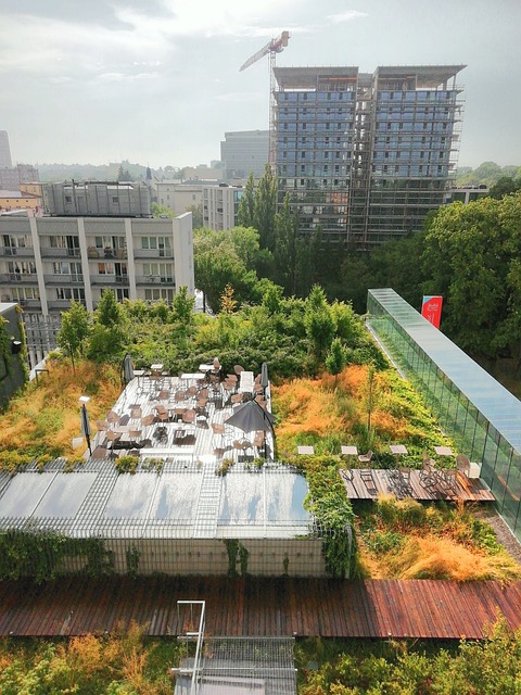 Free Rooftop Roof Garden photo and picture