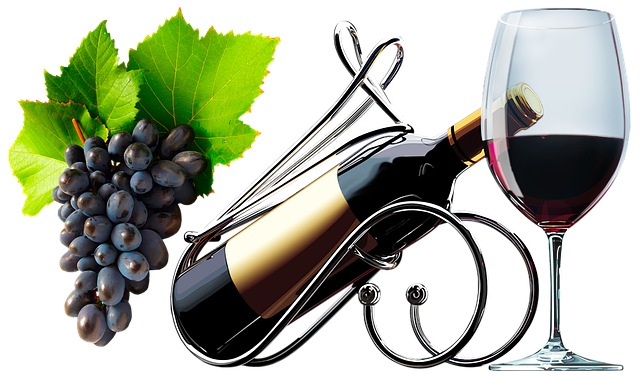 Free a bottle of wine wineglass wine illustration