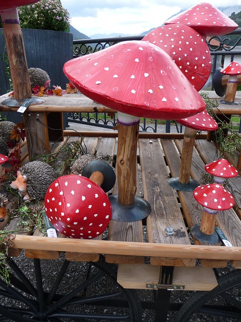 Free Mushroom Wood photo and picture
