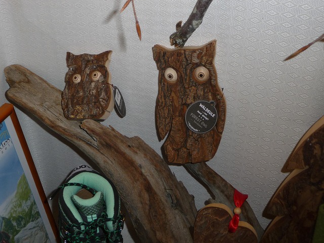Free Owls Wood photo and picture