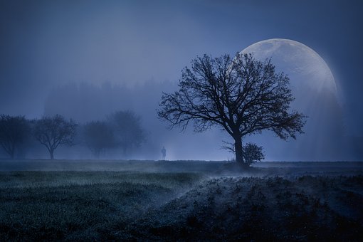 Free Super Moon Moon photo and picture