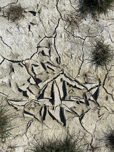 Free Sheer Drought photo and picture
