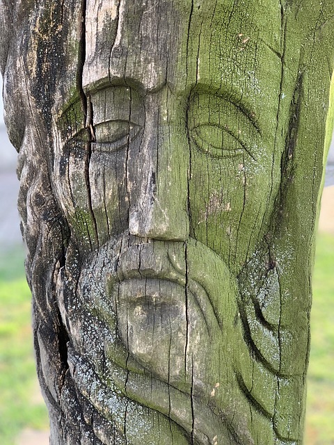 Free Wood Facial photo and picture