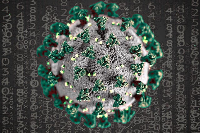 Free corona covid-19 covid illustration