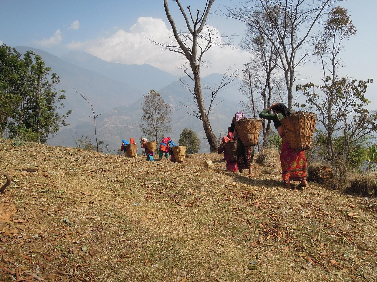 Local Himalayan village