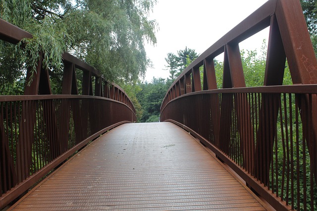 Free Bridge Metal photo and picture