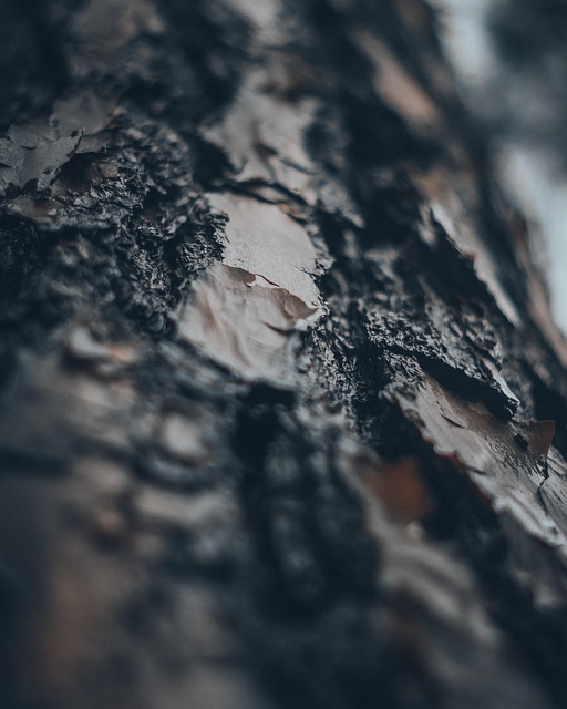 Textuur, Blauw, Hout, Structuur, Natuur