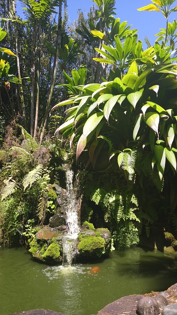 Free Waterfall Water photo and picture